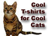 Cool Town Cats T-Shirts